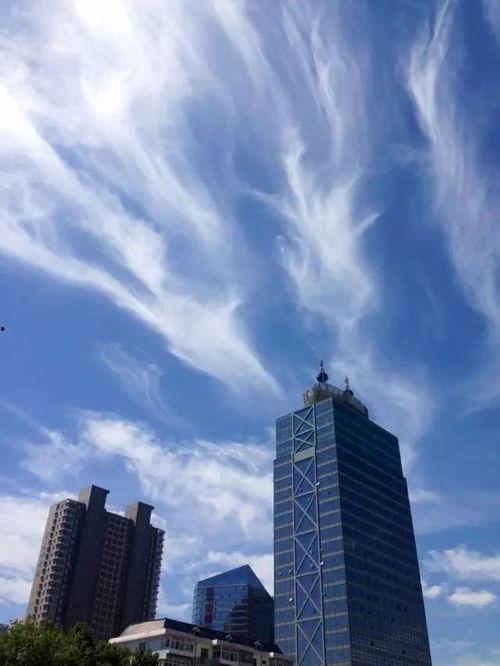 石家庄蓝天最新爆料,揭秘环保行动背后的故事